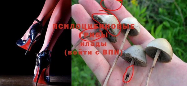 mdma Карпинск
