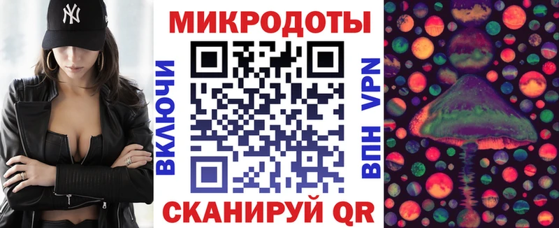 Галлюциногенные грибы Psilocybe  Купить где  Канск 
